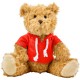 Teddy bear with hoodie